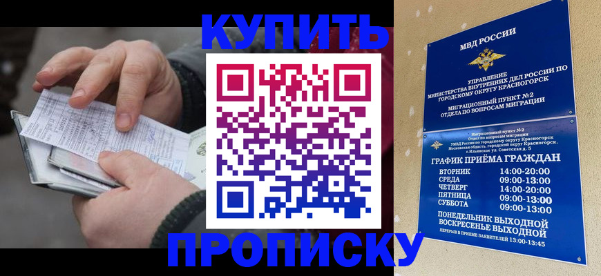 временная регистрация недорого в Майкопе